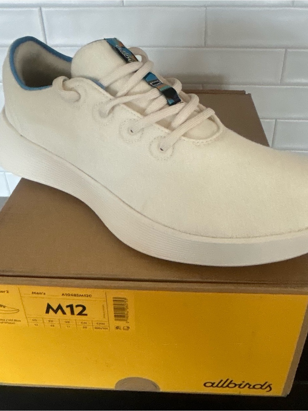 allbirds Men’s Cream Wool Sneakers with Teal Trim